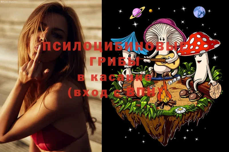 Галлюциногенные грибы MAGIC MUSHROOMS  Бузулук 